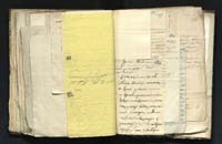 1_335_0_0_291.9_0497