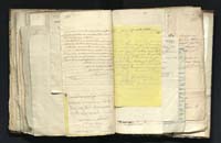 1_335_0_0_291.9_0501