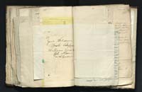 1_335_0_0_291.9_0509