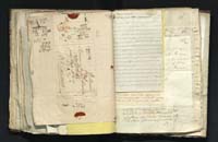 1_335_0_0_291.9_0543