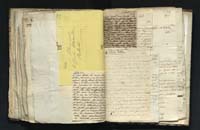 1_335_0_0_291.9_0564