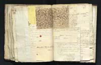 1_335_0_0_291.9_0568