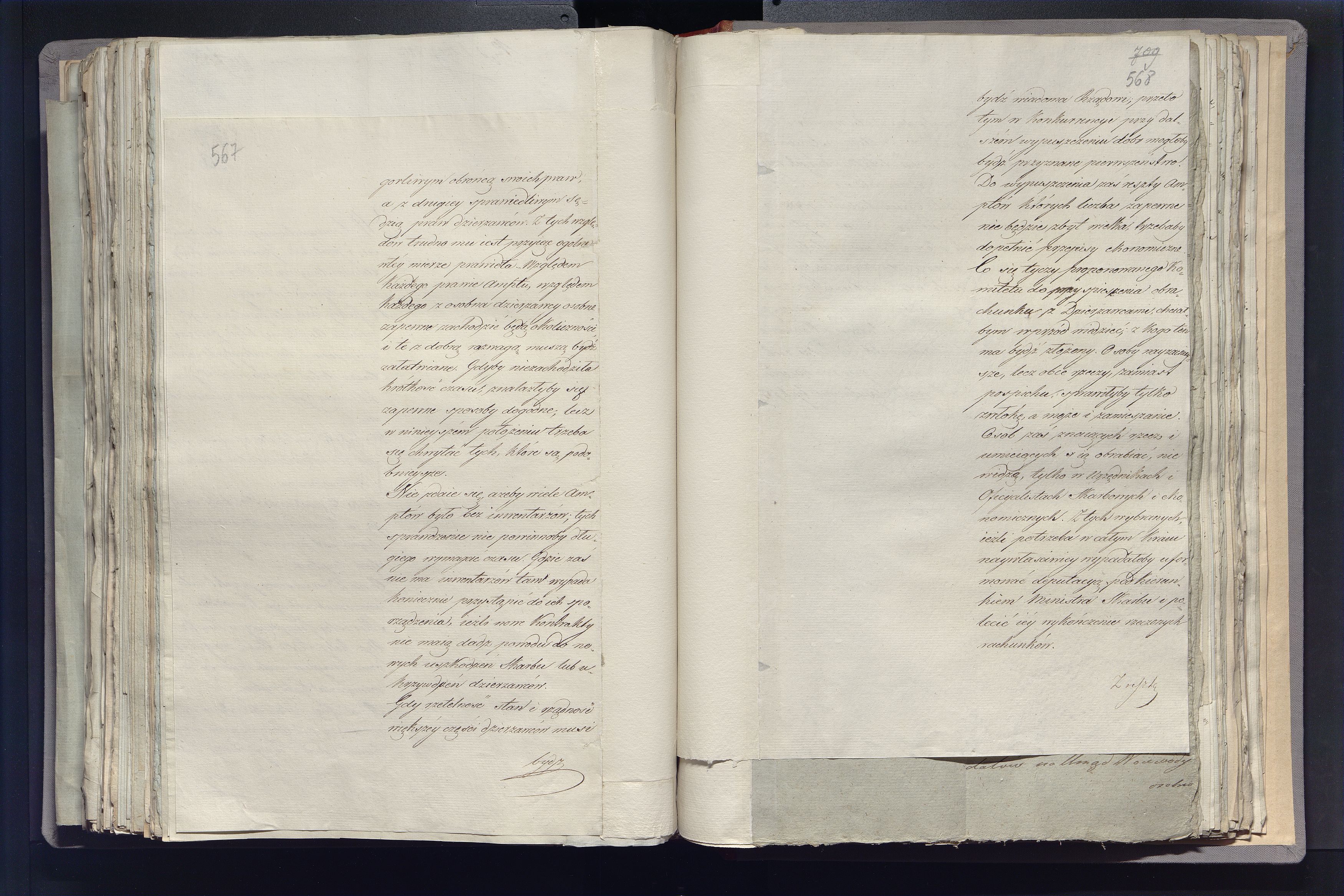 1_335_0_0_296-2_0324