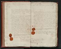 1_335_0_0_305-1_0011