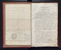 1_335_0_0_305-2_0007