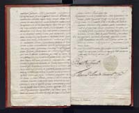 1_335_0_0_305-2_0010