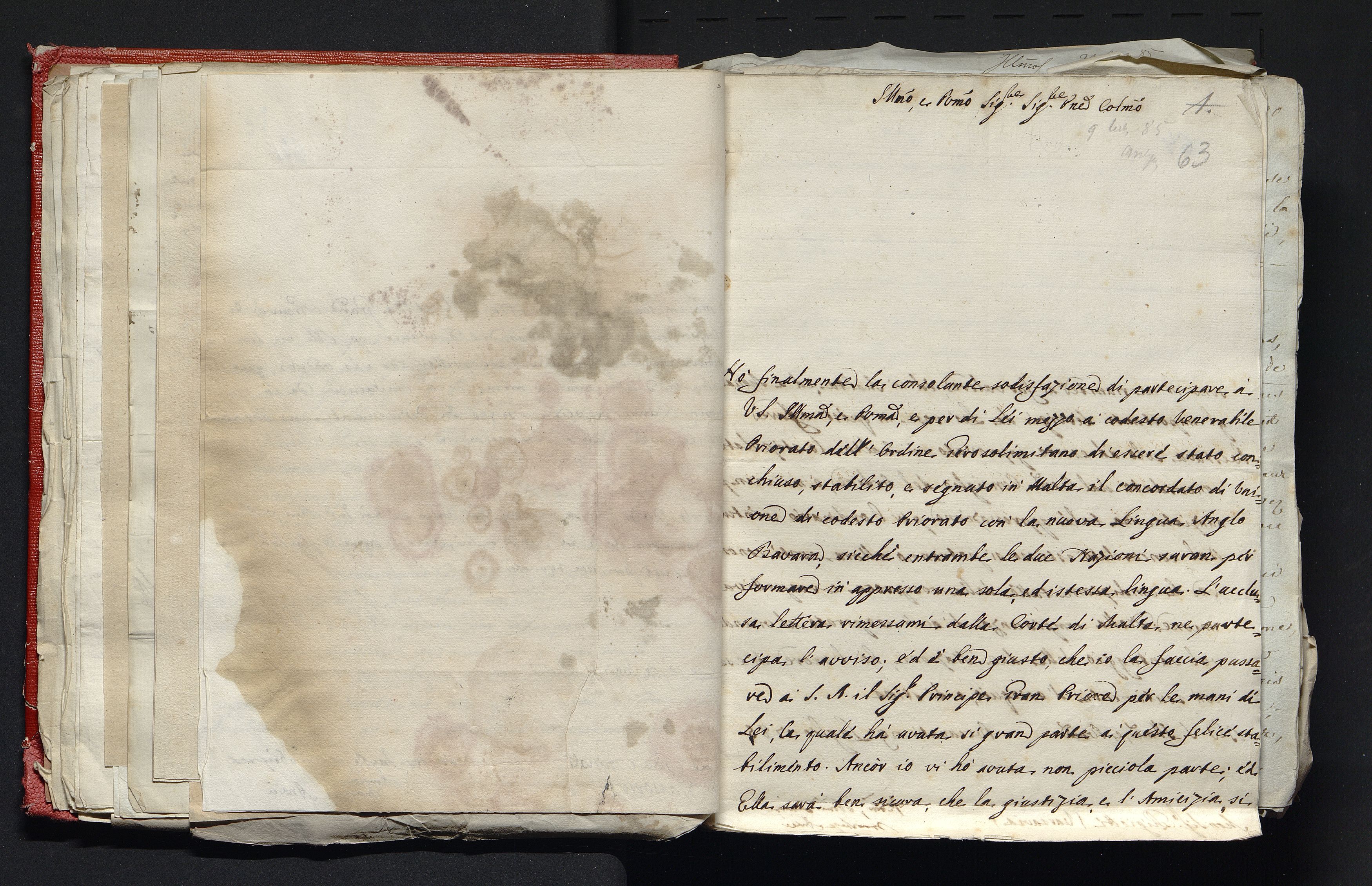 1_335_0_0_305-3_0039