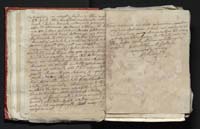 1_335_0_0_305-3_0034