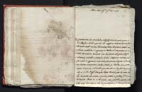 1_335_0_0_305-3_0039