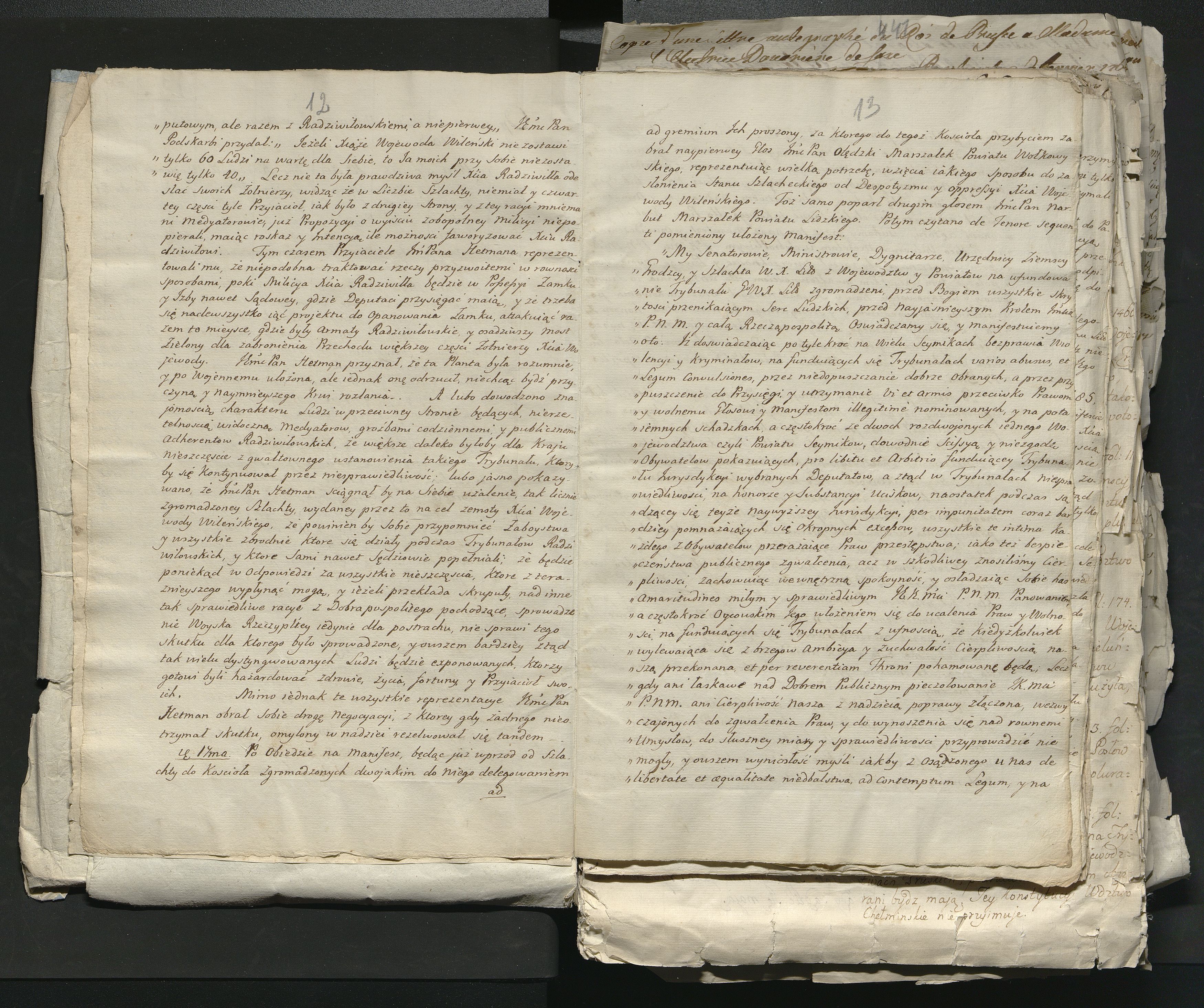 1_335_0_0_313-1_0007