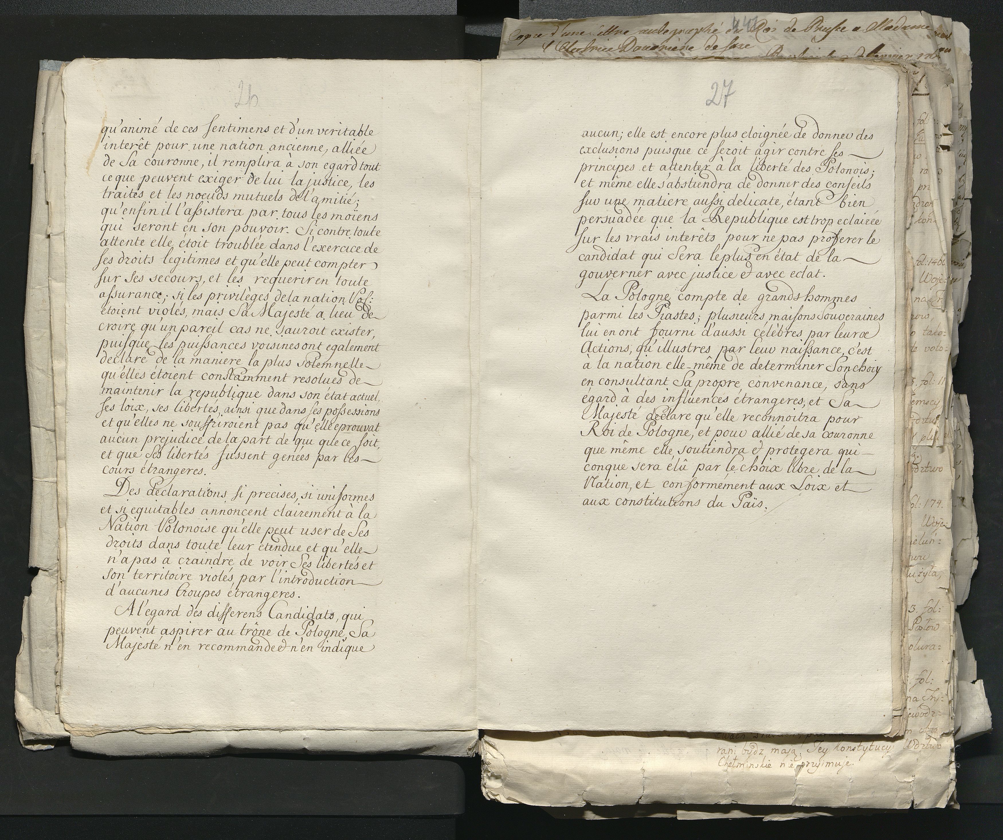 1_335_0_0_313-1_0014