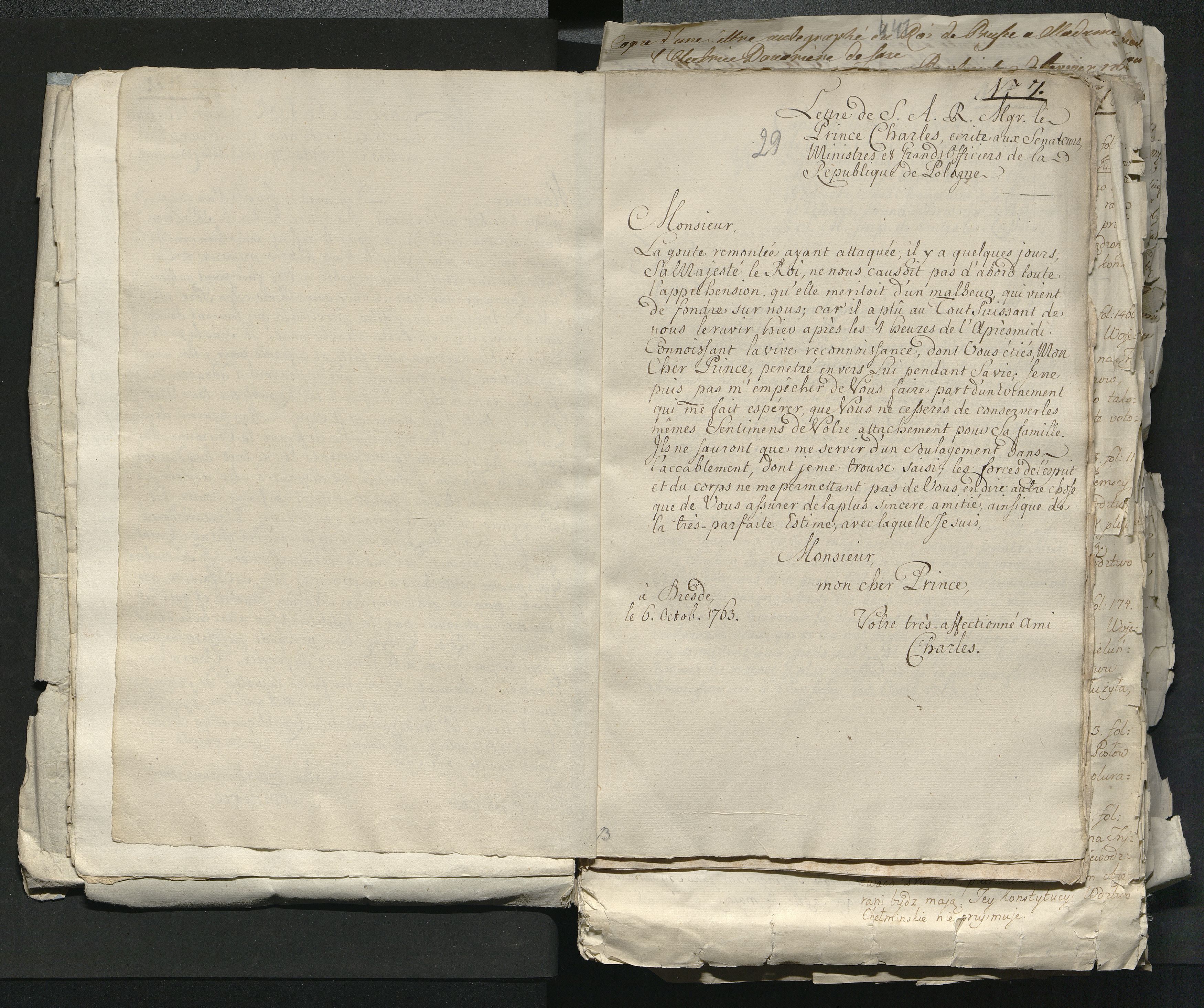 1_335_0_0_313-1_0016