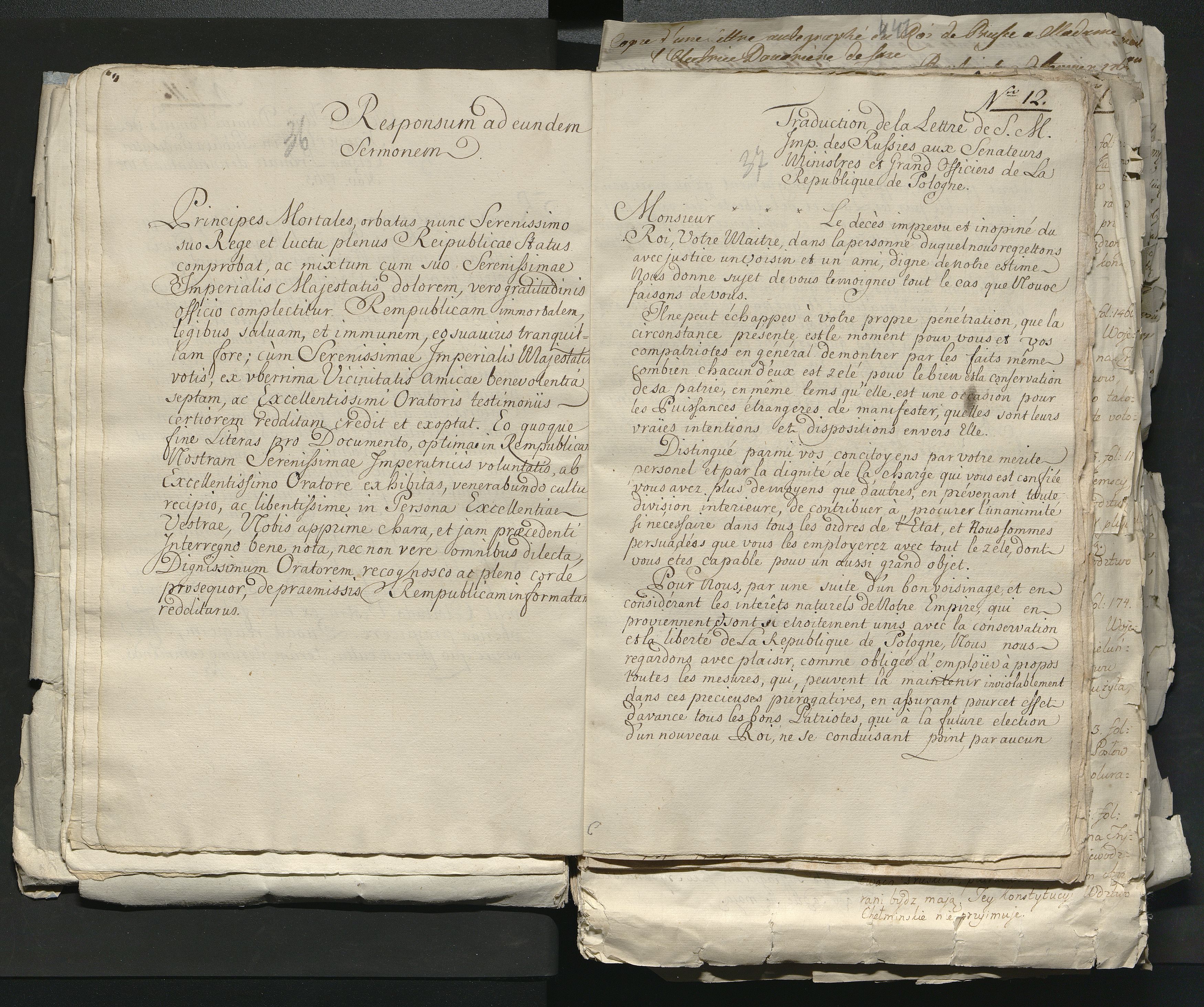 1_335_0_0_313-1_0022