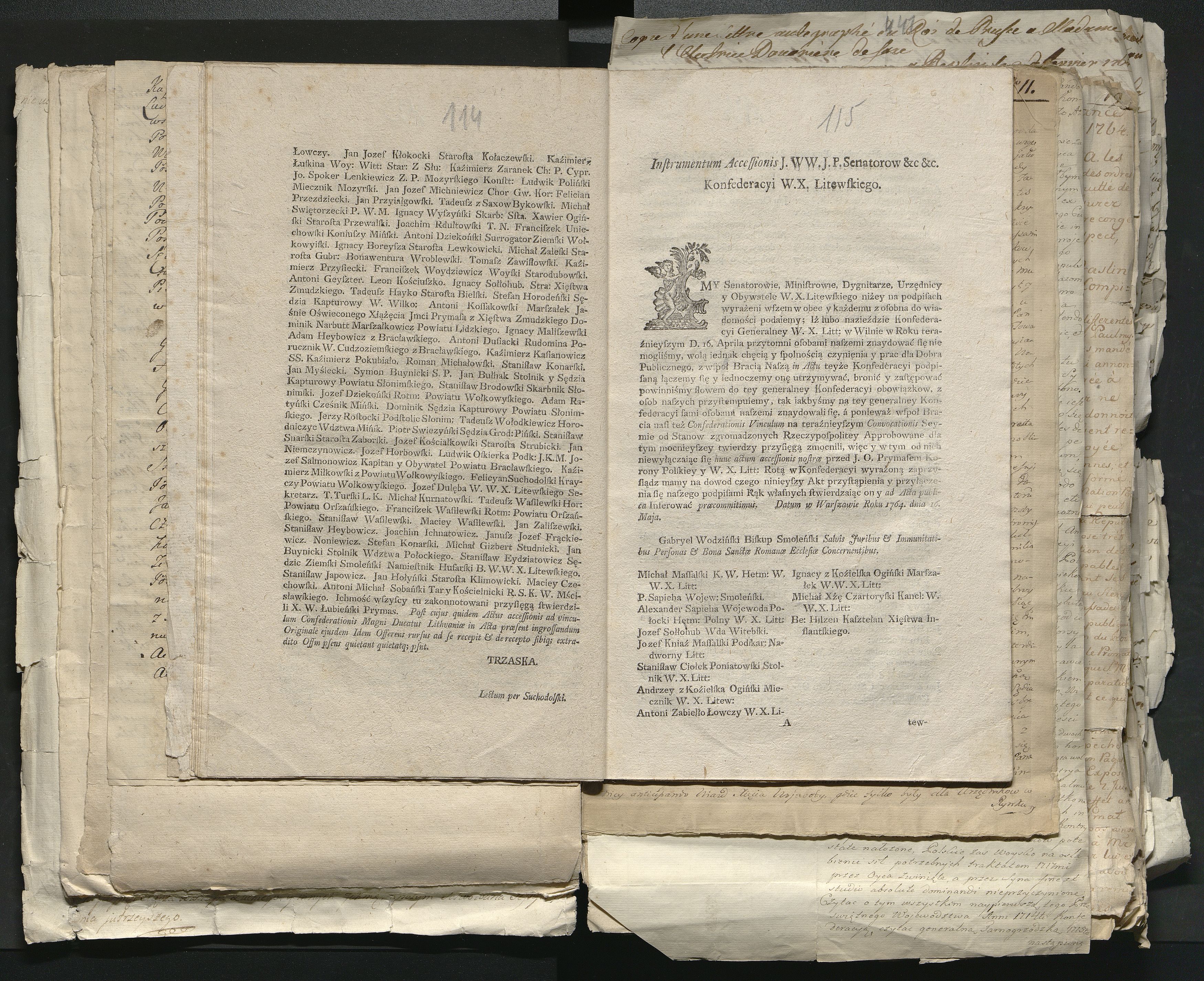 1_335_0_0_313-1_0065