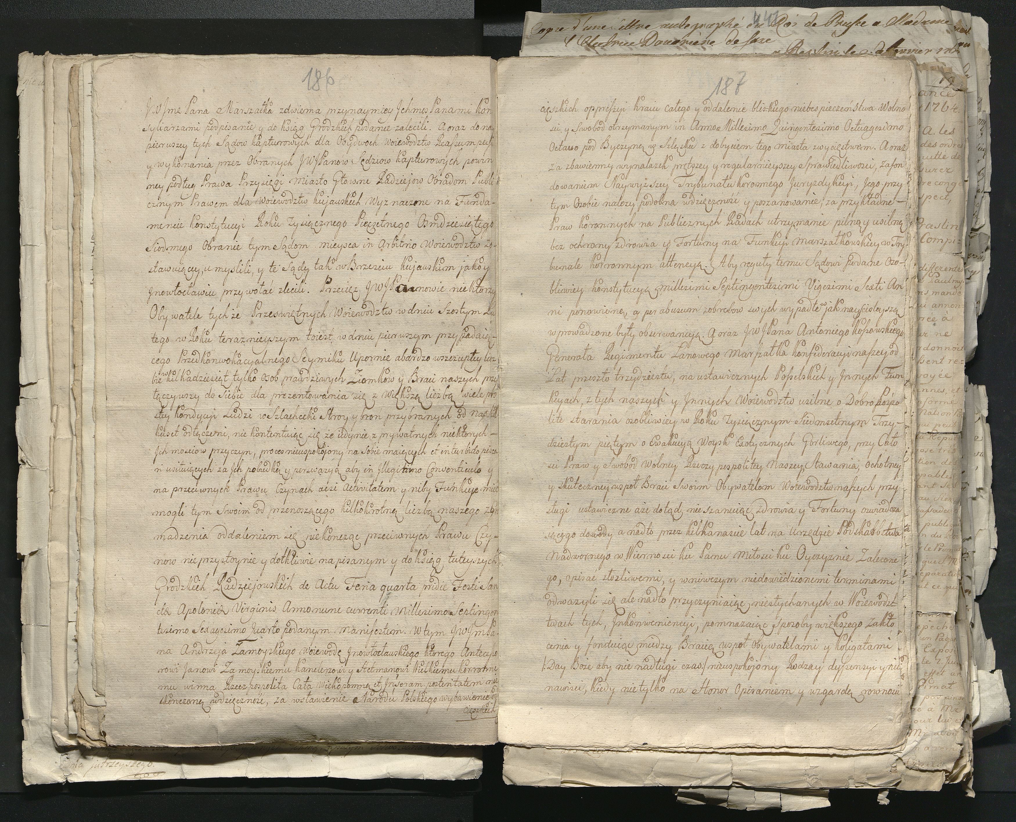 1_335_0_0_313-1_0103