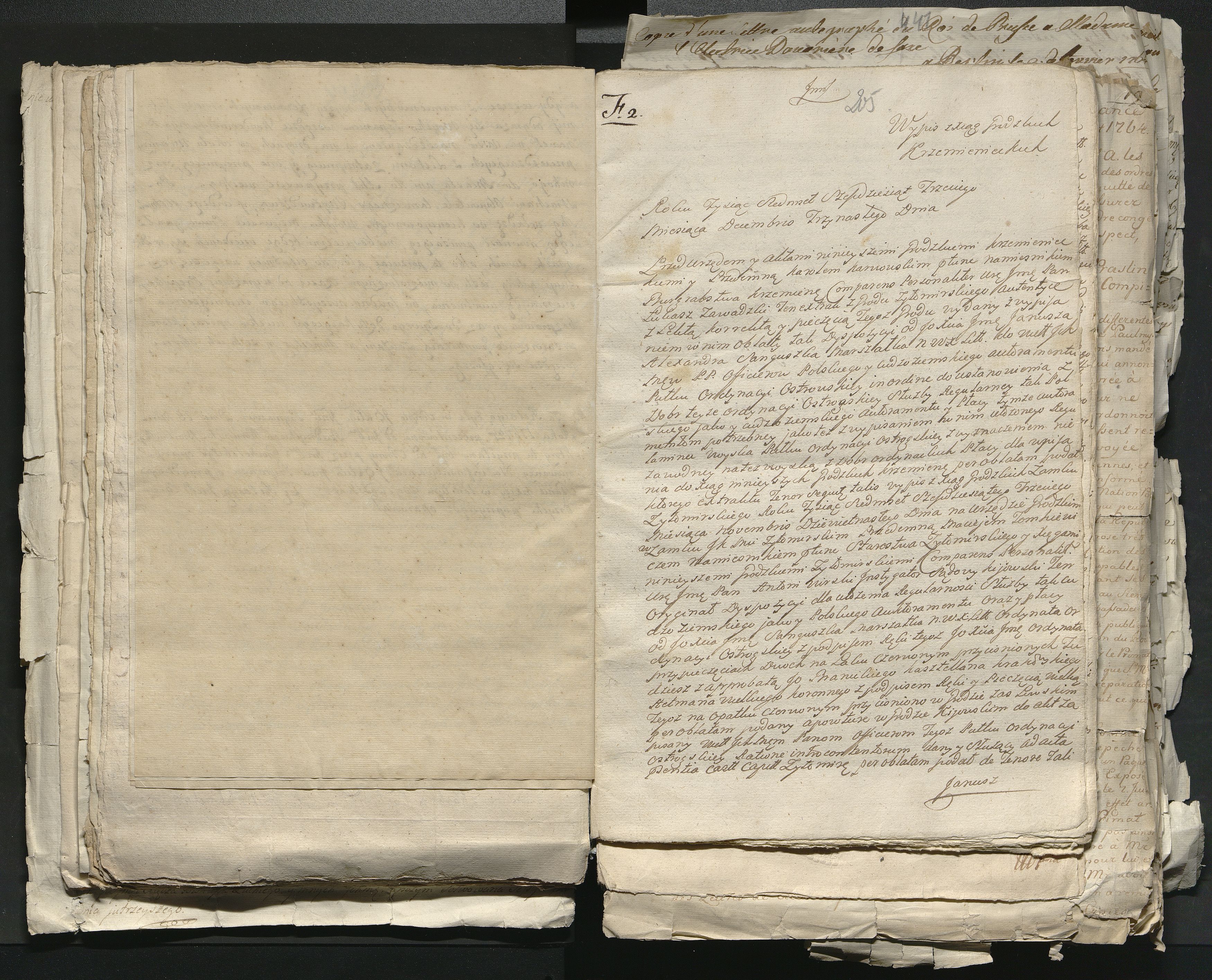 1_335_0_0_313-1_0113