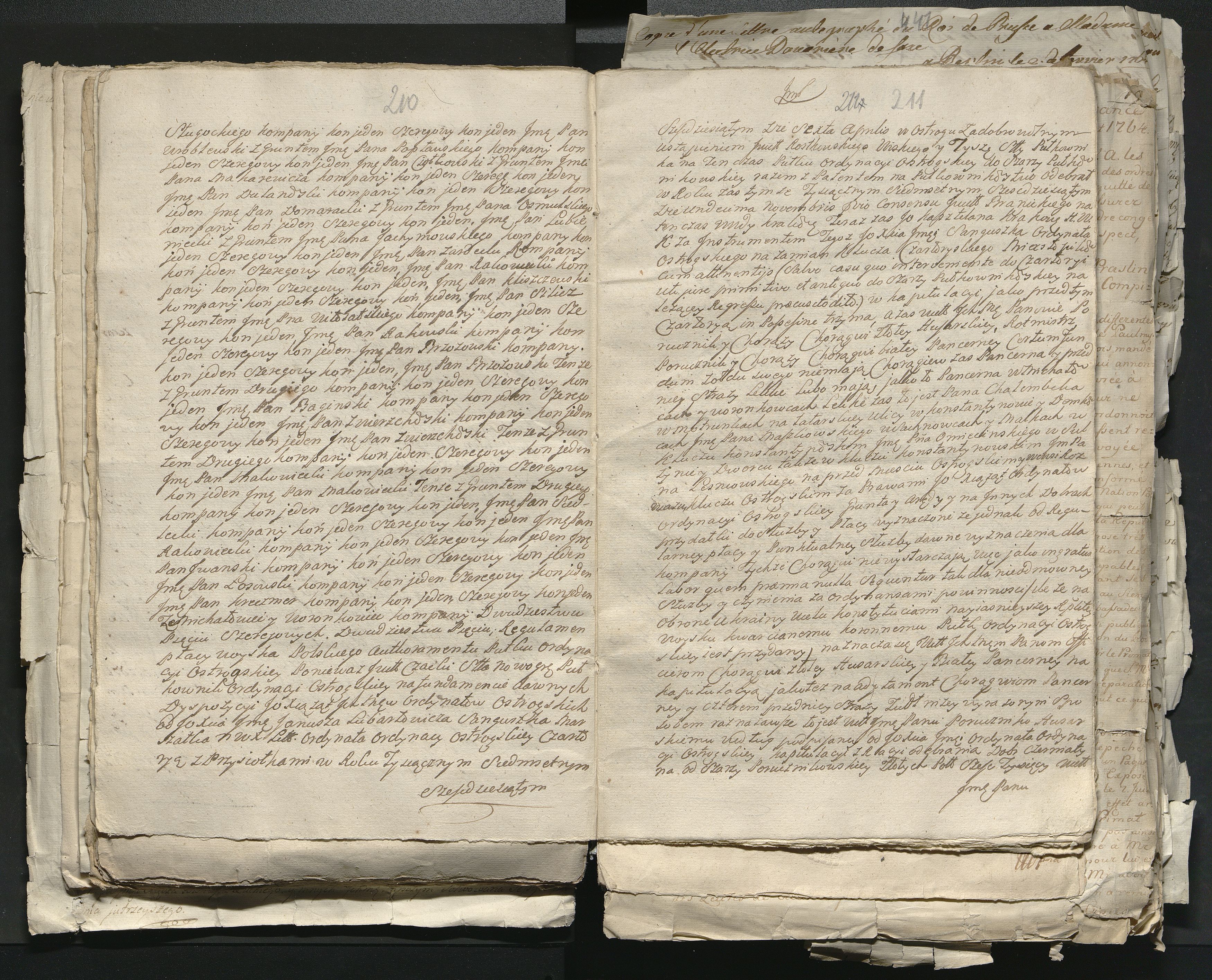 1_335_0_0_313-1_0116