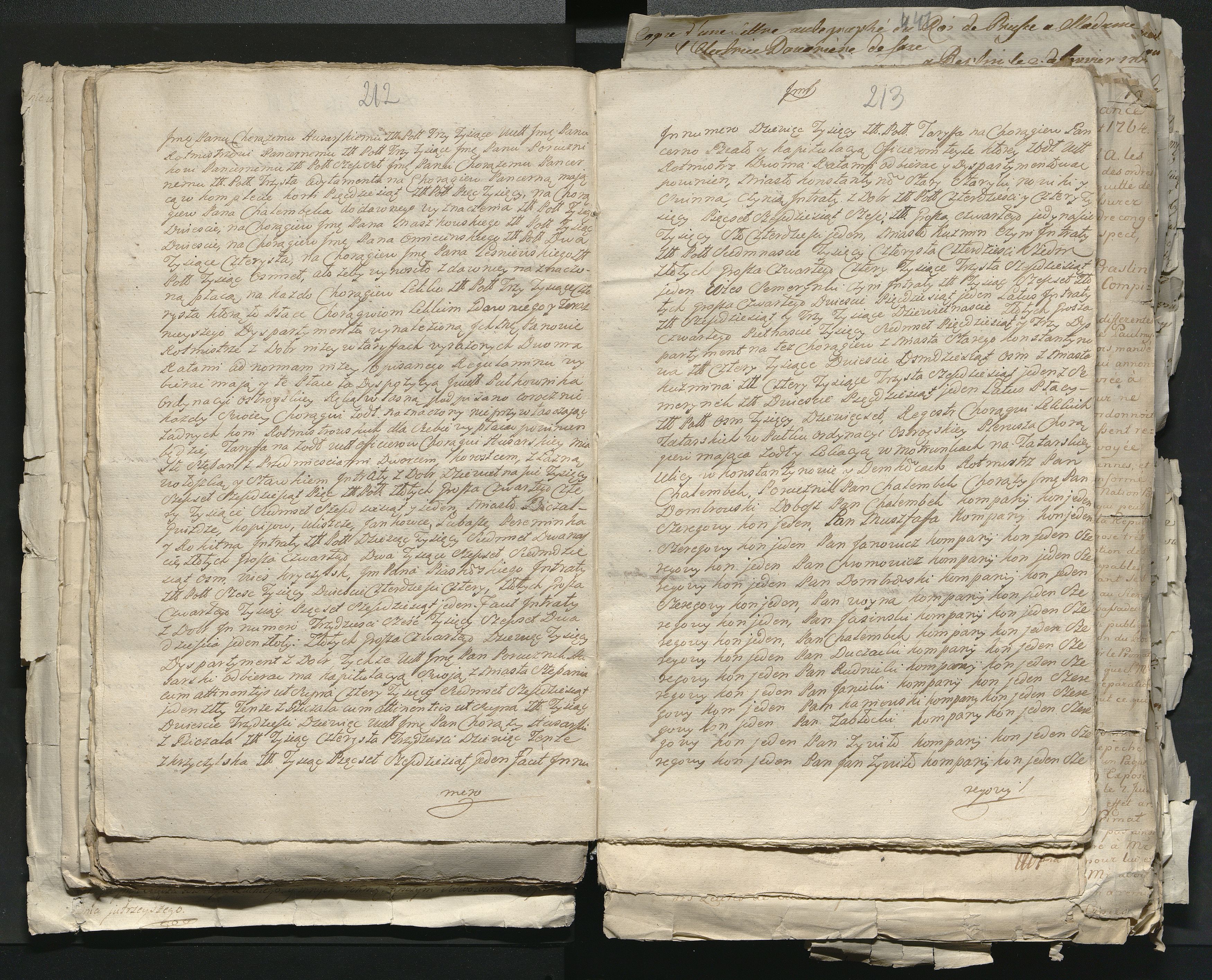 1_335_0_0_313-1_0117