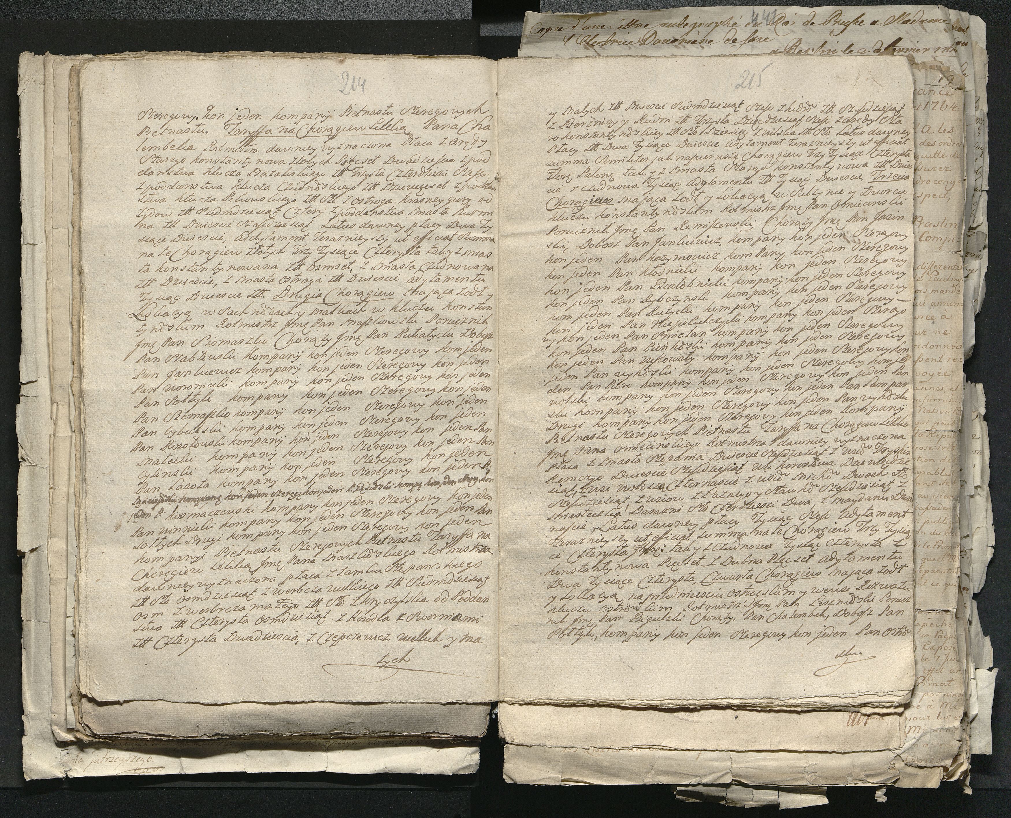 1_335_0_0_313-1_0118