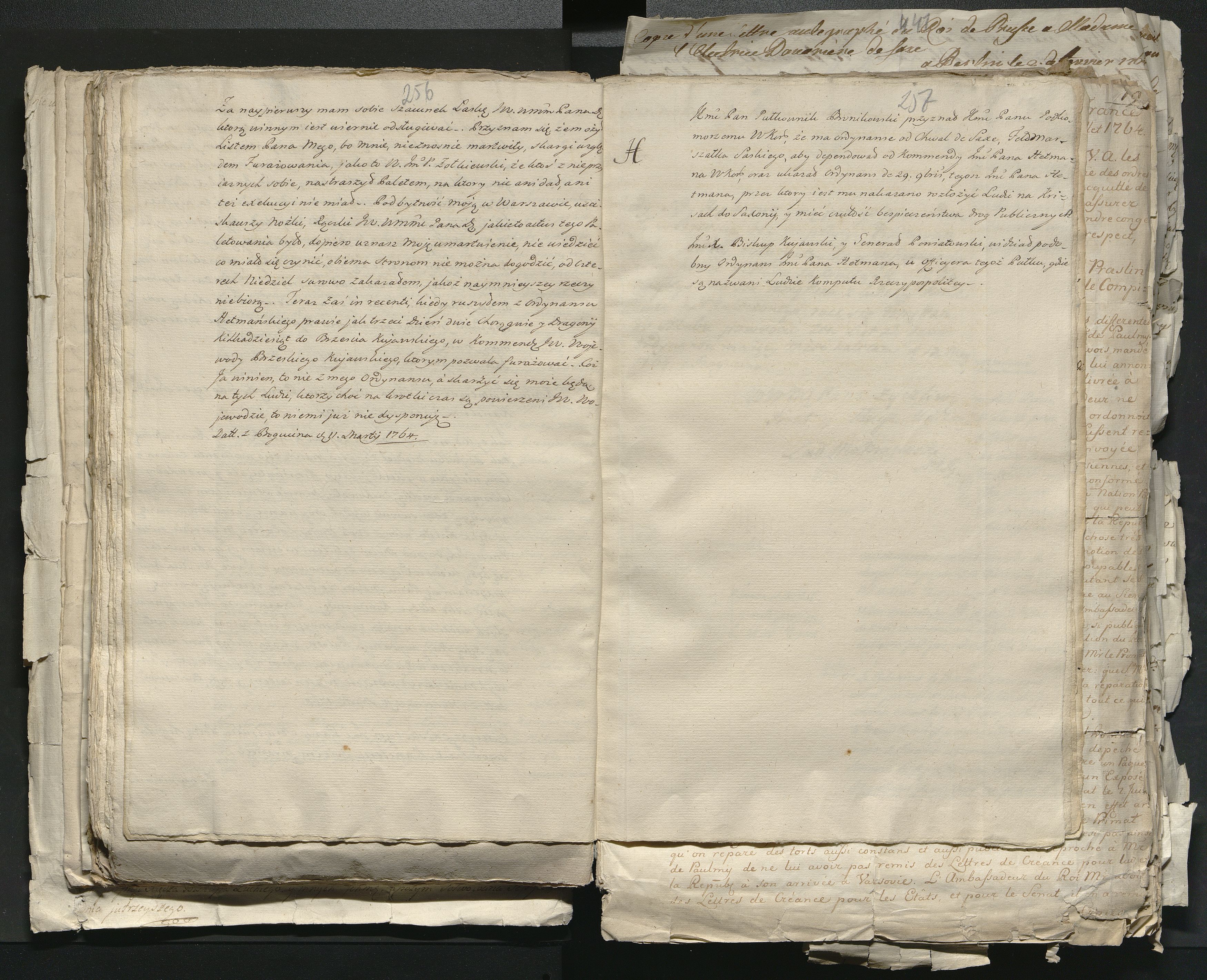 1_335_0_0_313-1_0140