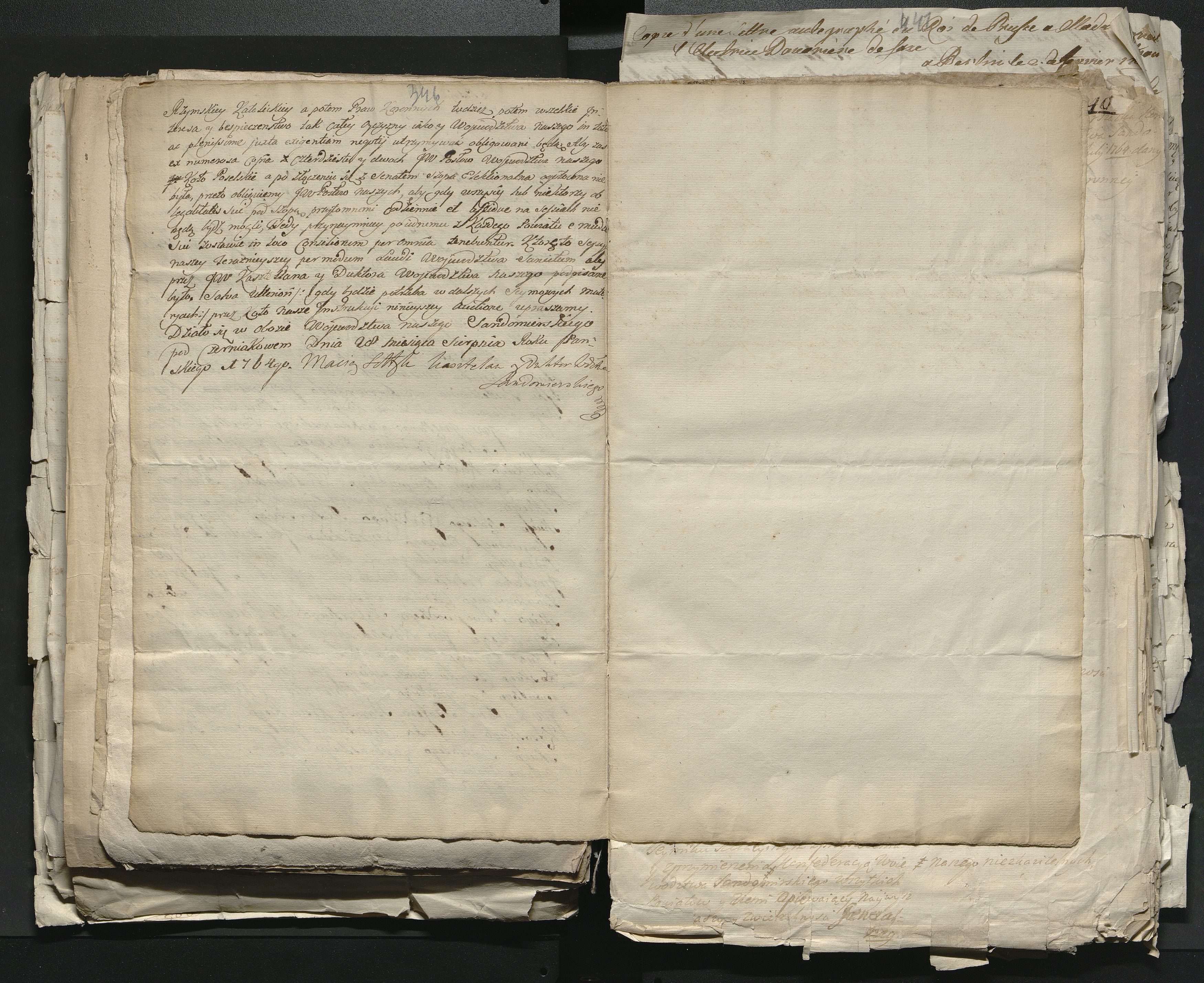 1_335_0_0_313-1_0196