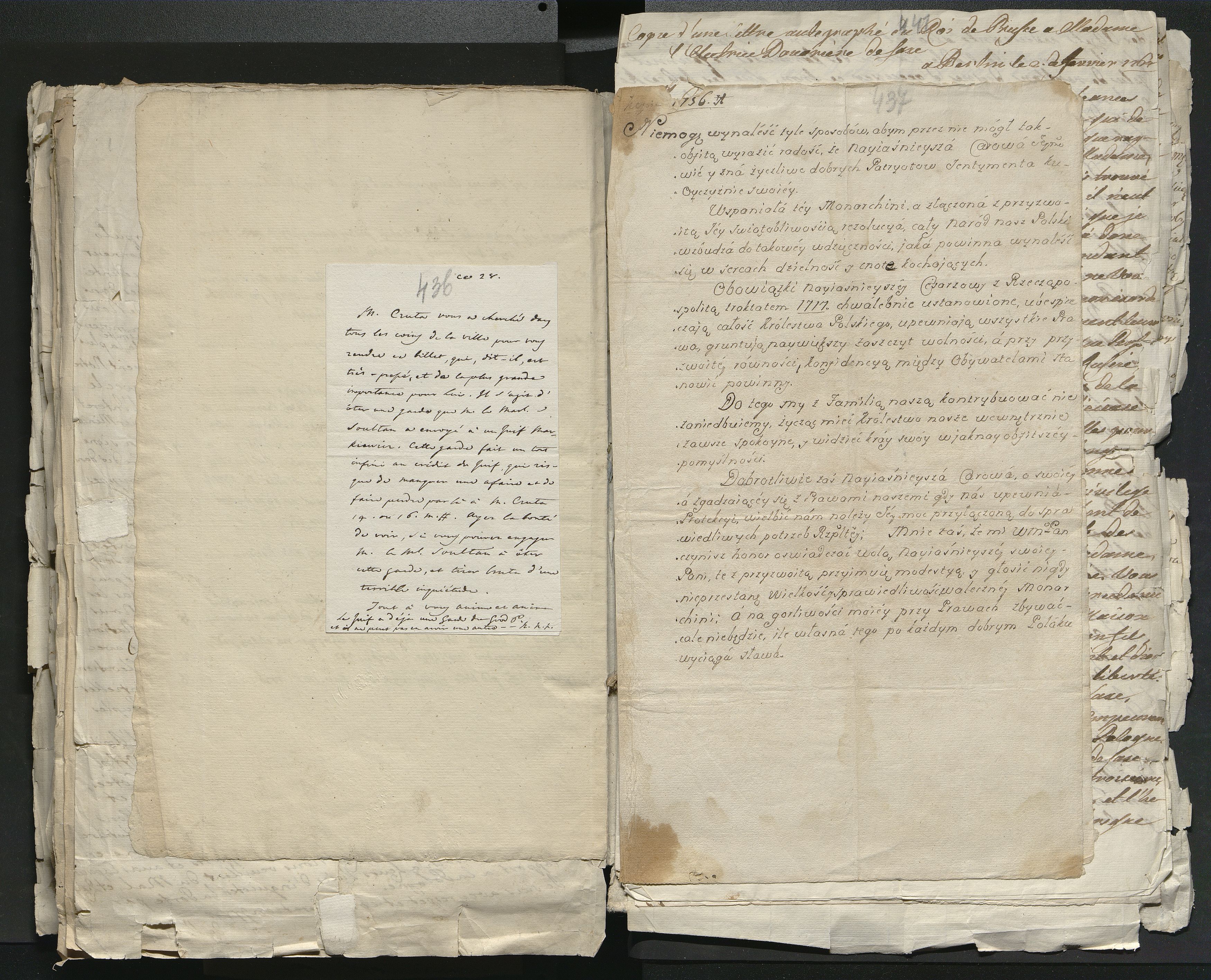 1_335_0_0_313-1_0247