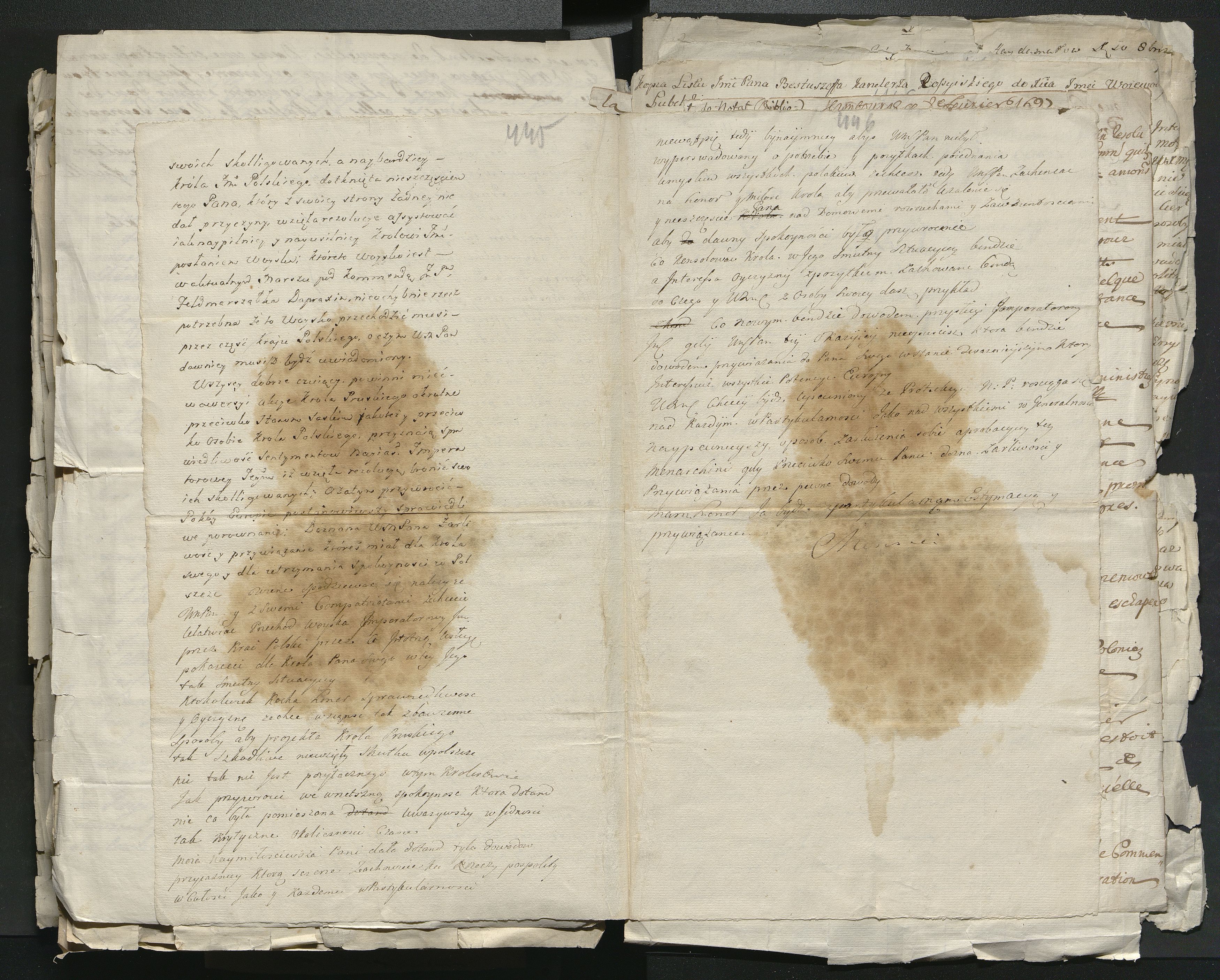 1_335_0_0_313-1_0252