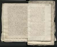 1_335_0_0_313-1_0012