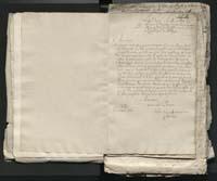 1_335_0_0_313-1_0016