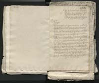 1_335_0_0_313-1_0017