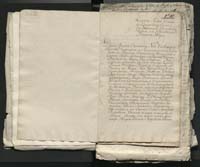 1_335_0_0_313-1_0019