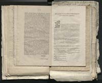 1_335_0_0_313-1_0065