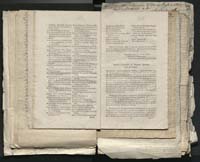 1_335_0_0_313-1_0066