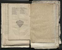 1_335_0_0_313-1_0081