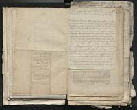 1_335_0_0_313-1_0089