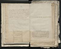 1_335_0_0_313-1_0090