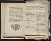 1_335_0_0_313-1_0096