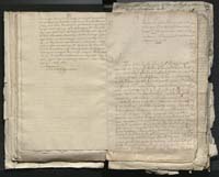 1_335_0_0_313-1_0102