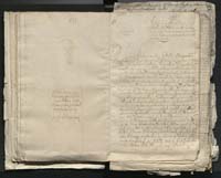 1_335_0_0_313-1_0106