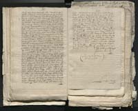 1_335_0_0_313-1_0110