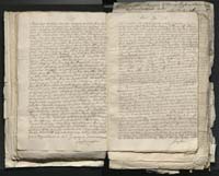 1_335_0_0_313-1_0116