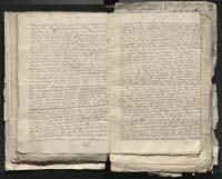 1_335_0_0_313-1_0118