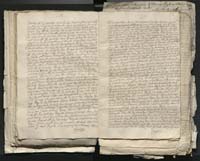 1_335_0_0_313-1_0123