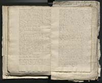 1_335_0_0_313-1_0137