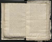 1_335_0_0_313-1_0139