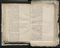 1_335_0_0_313-1_0164