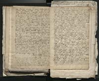 1_335_0_0_313-1_0195