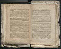 1_335_0_0_313-1_0202