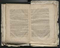 1_335_0_0_313-1_0204