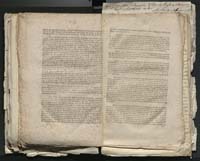 1_335_0_0_313-1_0205